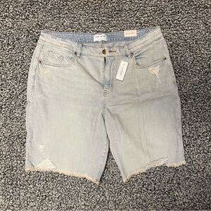 Distressed Light Wash Jean Shorts